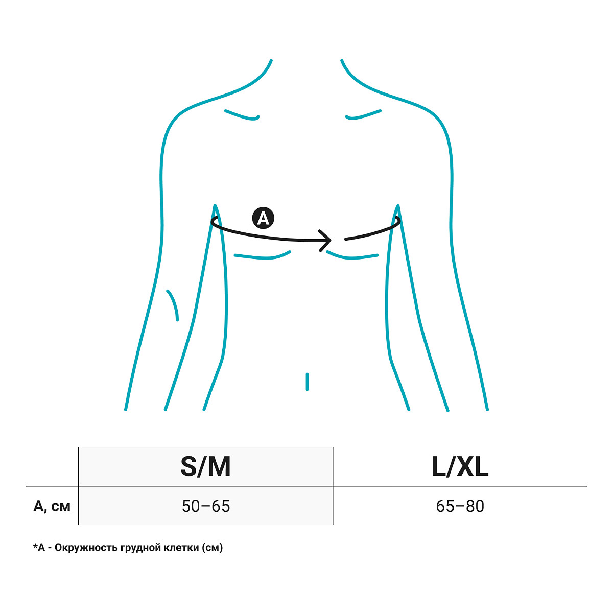 Корректор осанки CS-160(P) Orlett, умеренная фиксация купить в OrtoMir24